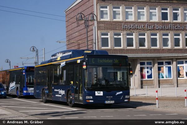 Klicken für Bild in voller Größe