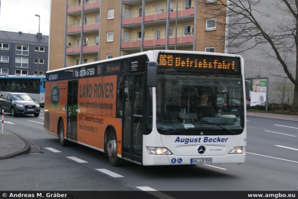 Klicken für Bild in voller Größe