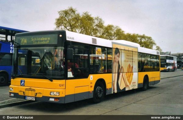 Klicken für Bild in voller Größe