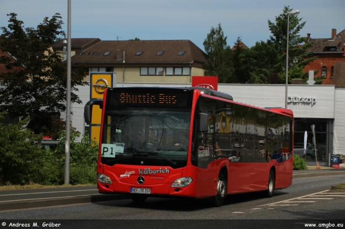 Klicken für Bild in voller Größe