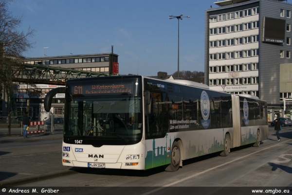 Klicken für Bild in voller Größe