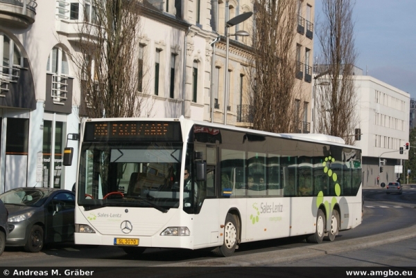 Klicken für Bild in voller Größe