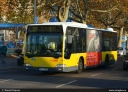 BVG_1325.jpg