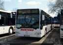 Mertens_GT-HM_6060.jpg