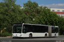 ac163.jpg