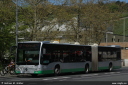alka1007.jpg