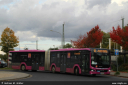 bex8010.jpg