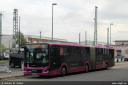 bex8060.jpg