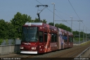 bsvag9557.jpg
