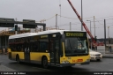 bvg2248.jpg