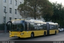 bvg4462.jpg