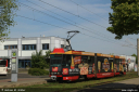 cbv134.jpg
