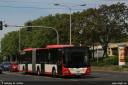 cbv275.jpg