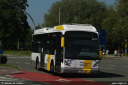 delijn2477.jpg