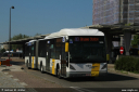 delijn5246.jpg