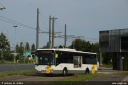delijn5619.jpg