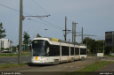 delijn7316.jpg