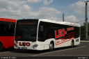 leo29.jpg