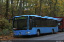 limobus6004.jpg