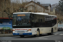 modigellundscherer760.jpg