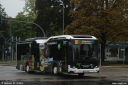 rve33-9938.jpg