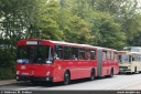 standardbus305.jpg