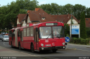 standardbus305~0.jpg