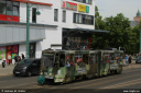 svf208.jpg