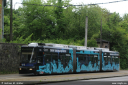 svf306.jpg