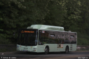 svf448.jpg