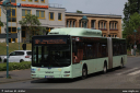 svf546.jpg