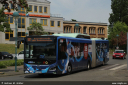 svf551.jpg